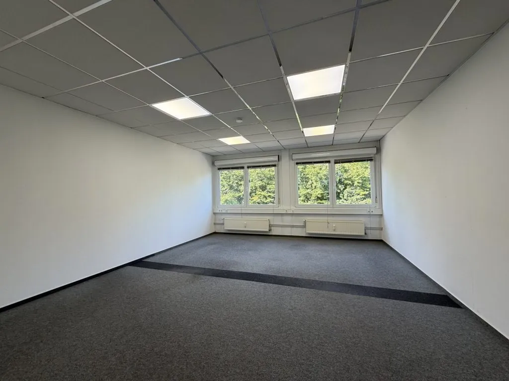 Immobilienangebot - Flensburg - Alle - Flensburg-Südstadt: großes Büro auf einer gesamten Etage in zentraler Lage