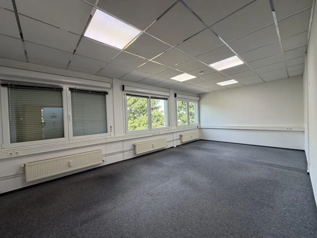 Immobilienangebot - Flensburg - Alle - Flensburg-Südstadt: großes Büro auf einer gesamten Etage in zentraler Lage