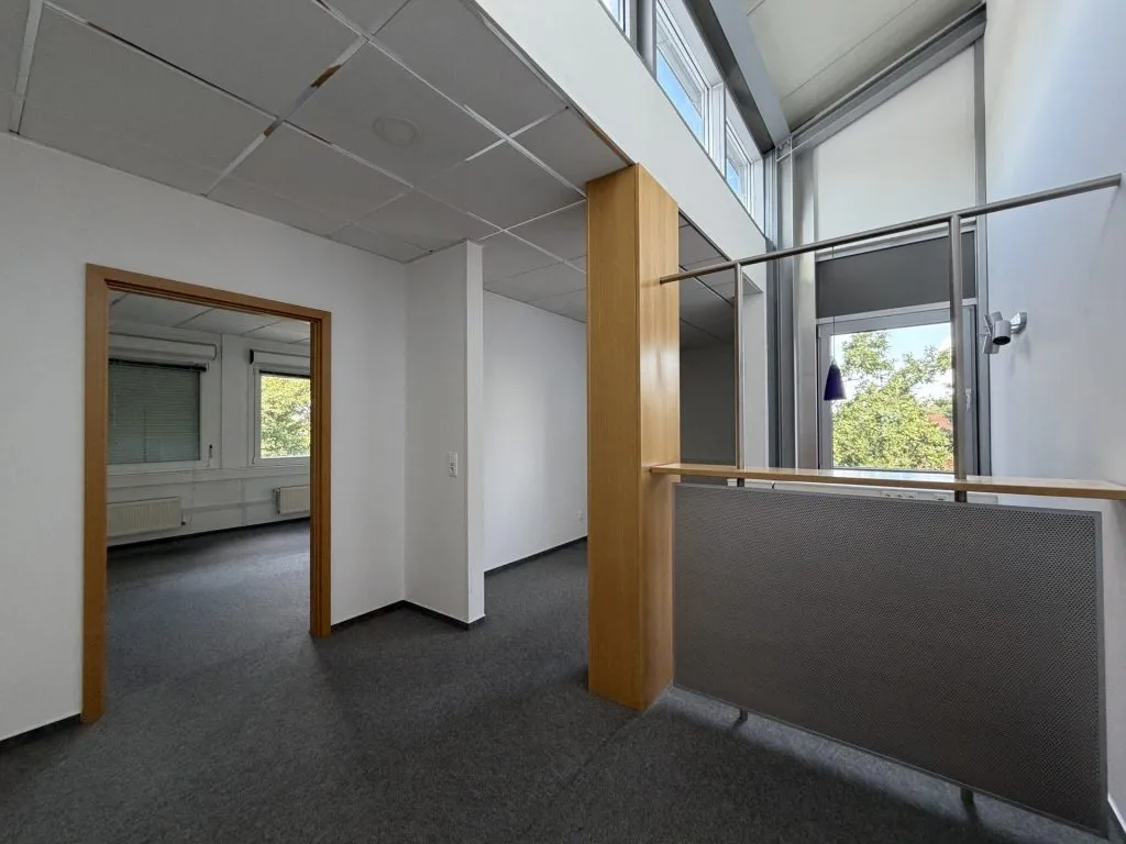Immobilienangebot - Flensburg - Alle - Flensburg-Südstadt: großes Büro auf einer gesamten Etage in zentraler Lage