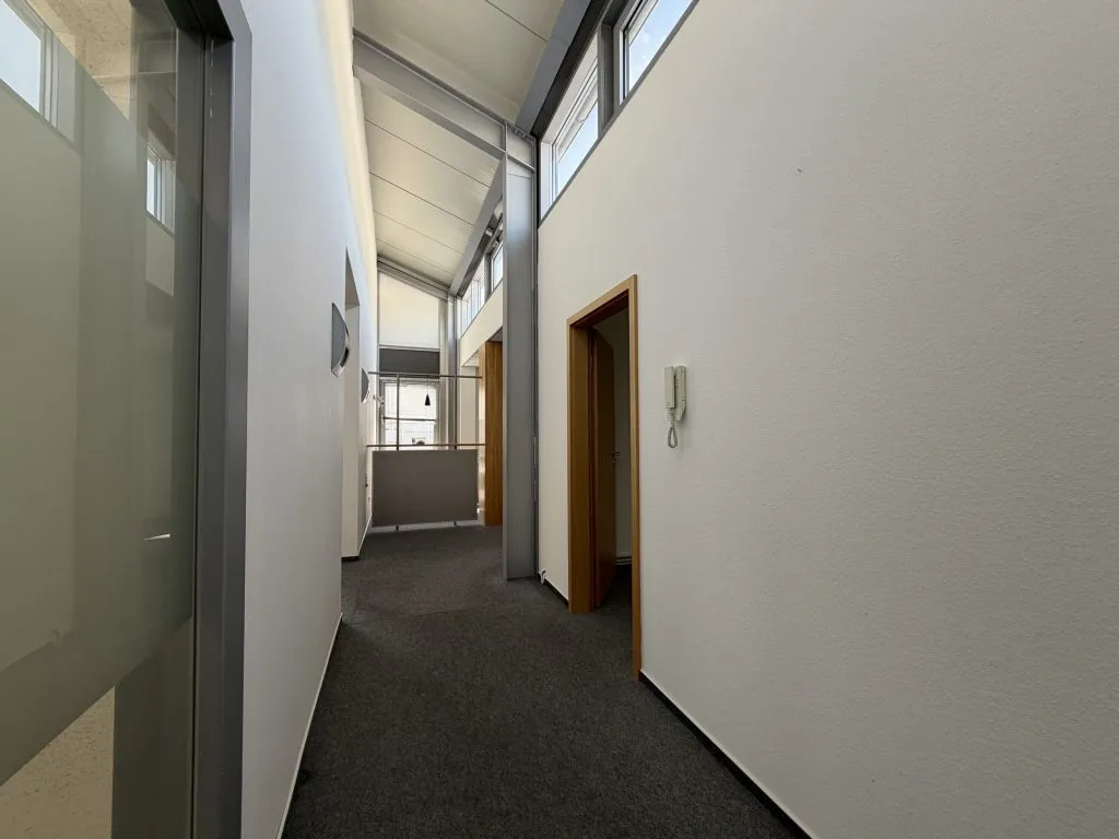 Immobilienangebot - Flensburg - Alle - Flensburg-Südstadt: großes Büro auf einer gesamten Etage in zentraler Lage