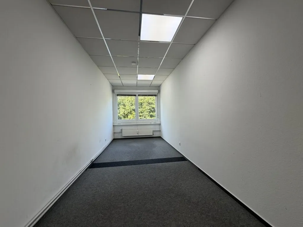 Immobilienangebot - Flensburg - Alle - Flensburg-Südstadt: großes Büro auf einer gesamten Etage in zentraler Lage