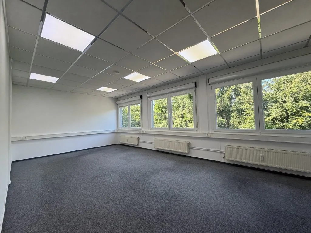Immobilienangebot - Flensburg - Alle - Flensburg-Südstadt: großes Büro auf einer gesamten Etage in zentraler Lage
