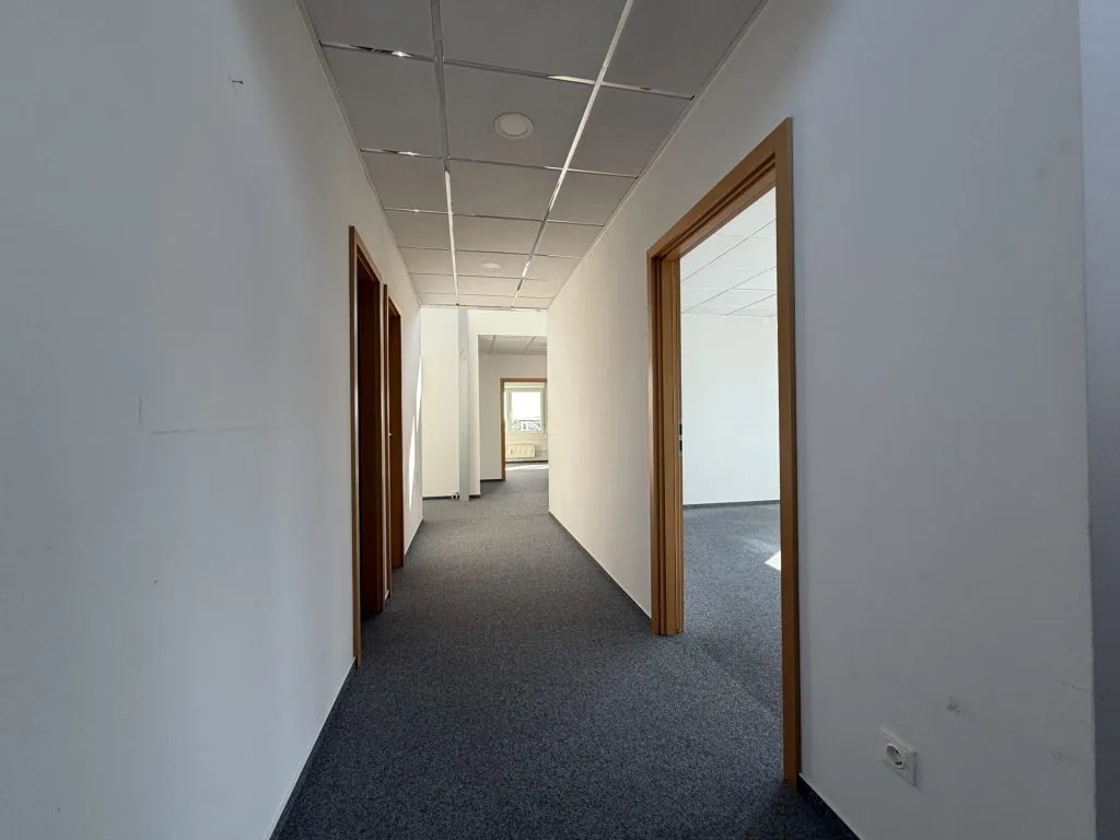 Immobilienangebot - Flensburg - Alle - Flensburg-Südstadt: großes Büro auf einer gesamten Etage in zentraler Lage