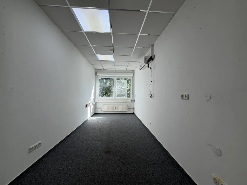Immobilienangebot - Flensburg - Alle - Flensburg-Südstadt: großes Büro auf einer gesamten Etage in zentraler Lage