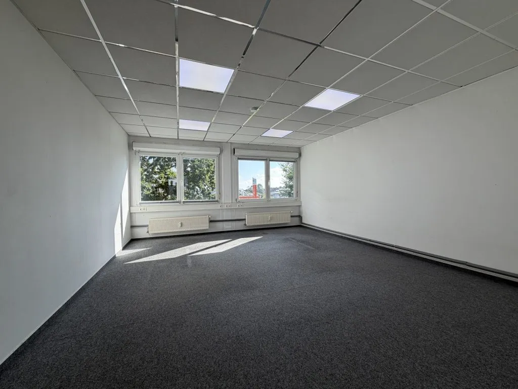 Immobilienangebot - Flensburg - Alle - Flensburg-Südstadt: großes Büro auf einer gesamten Etage in zentraler Lage