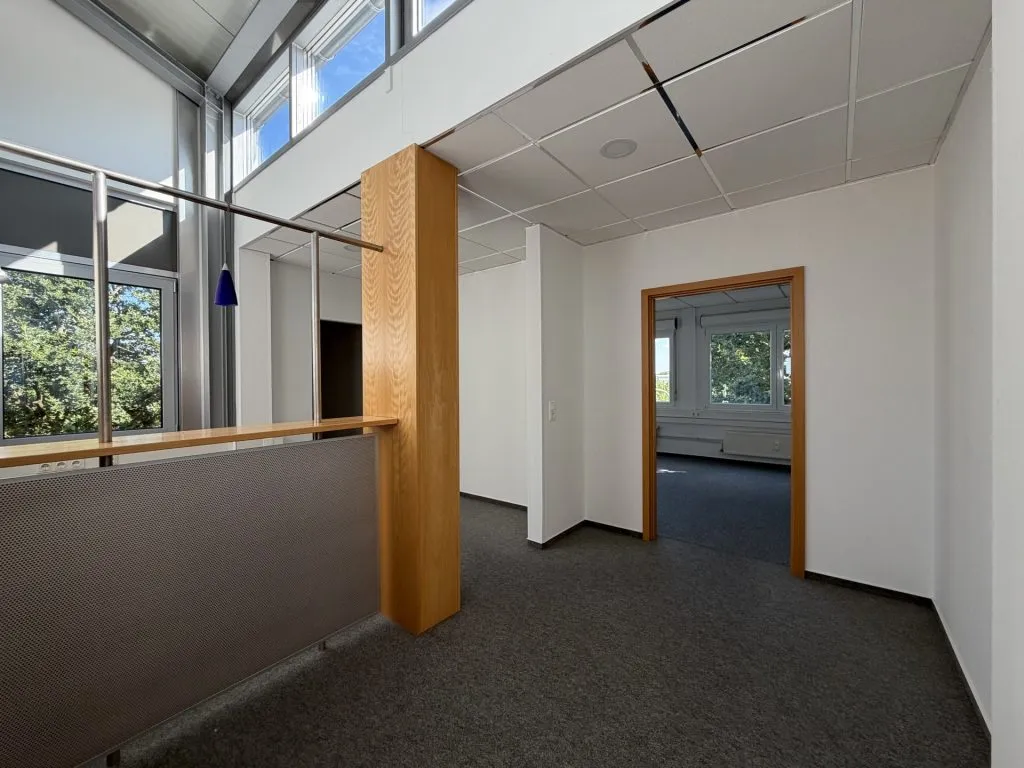 Immobilienangebot - Flensburg - Alle - Flensburg-Südstadt: großes Büro auf einer gesamten Etage in zentraler Lage