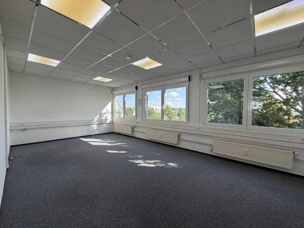 Immobilienangebot - Flensburg - Alle - Flensburg-Südstadt: großes Büro auf einer gesamten Etage in zentraler Lage