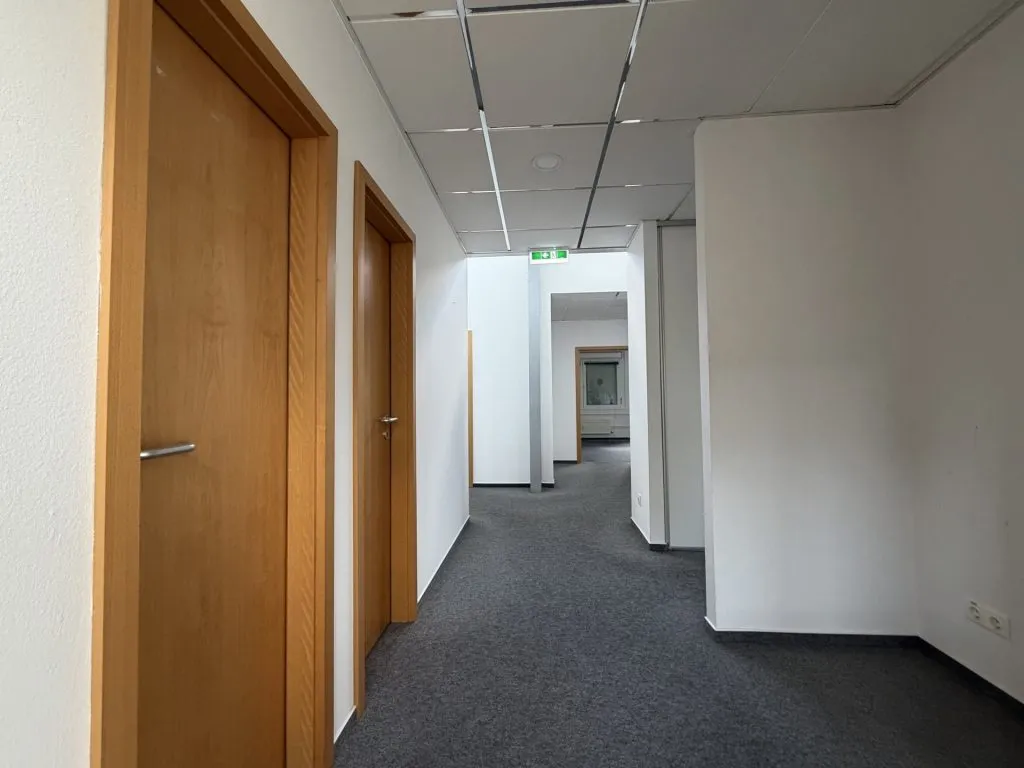 Immobilienangebot - Flensburg - Alle - Flensburg-Südstadt: großes Büro auf einer gesamten Etage in zentraler Lage