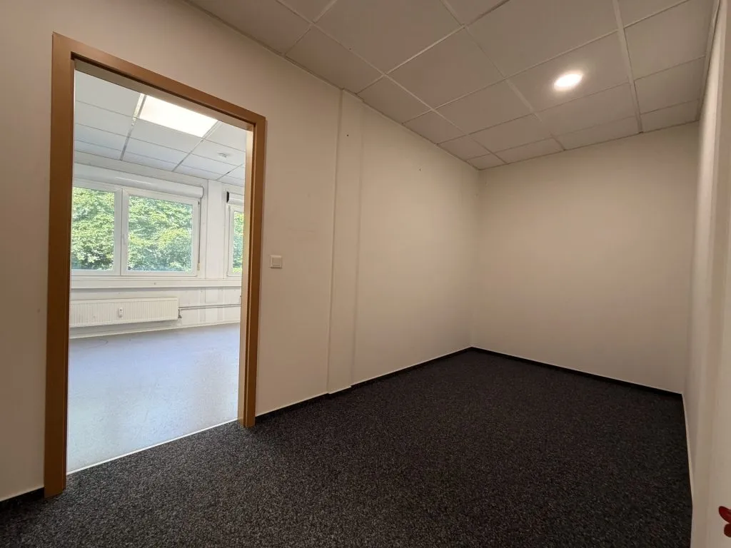 Immobilienangebot - Flensburg - Alle - Flensburg-Südstadt: attraktive Büroräume in zentraler Lage