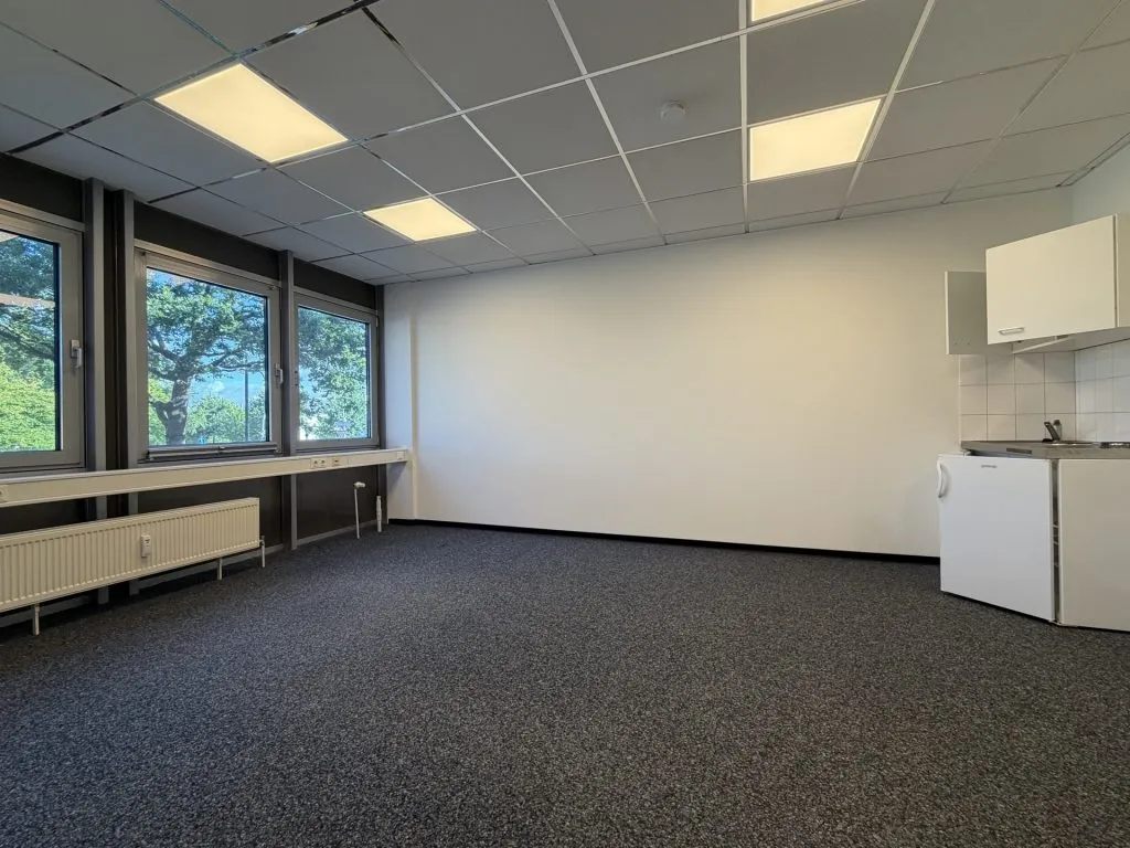 Immobilienangebot - Flensburg - Alle - Flensburg-Südstadt: attraktive Büroräume in zentraler Lage